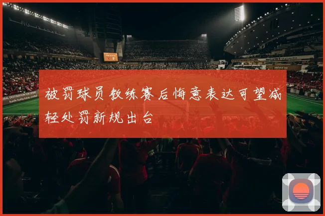 被罚球员教练赛后悔意表达可望减轻处罚新规出台
